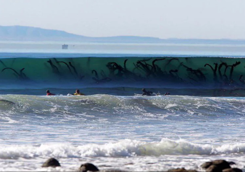 This image has an empty alt attribute