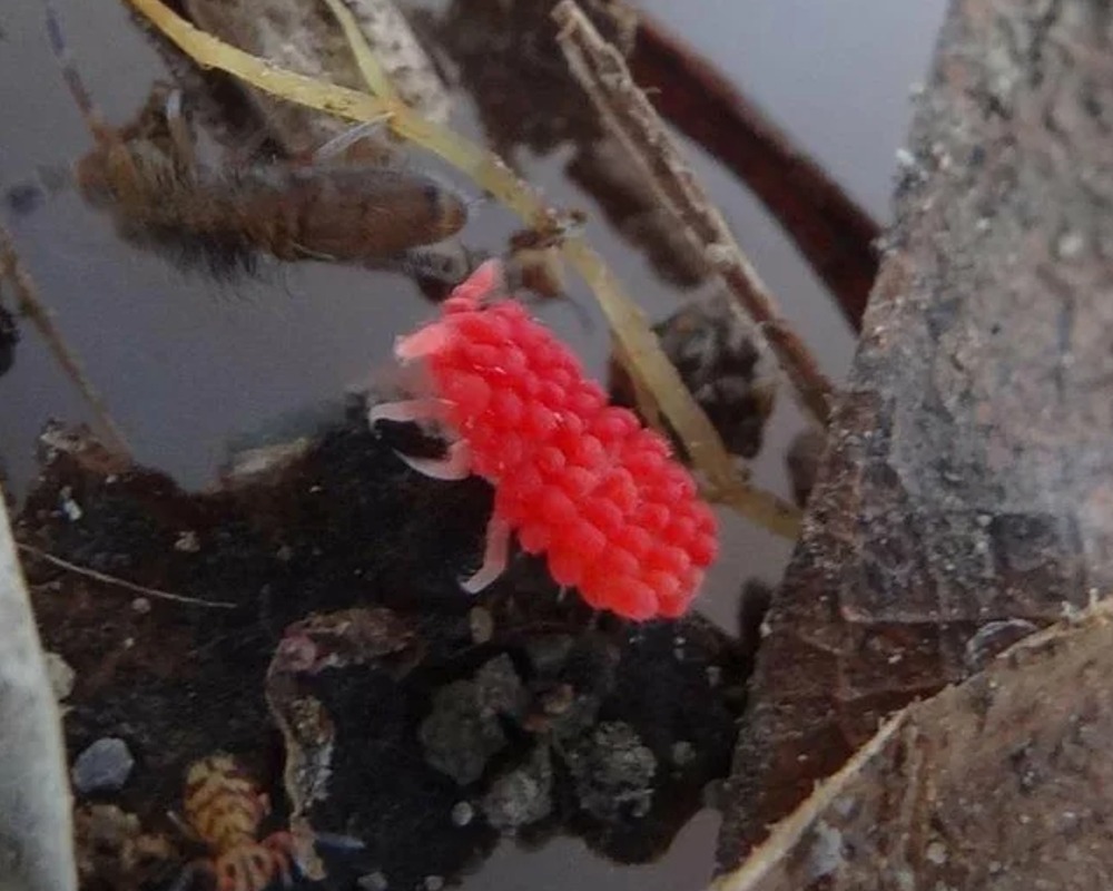 This image has an empty alt attribute