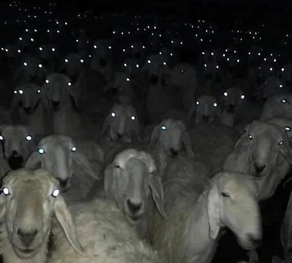 This image has an empty alt attribute